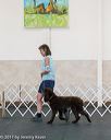 20170826-ob-0113