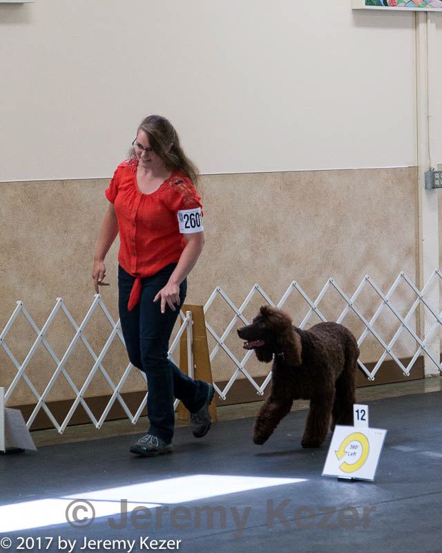 20170826-ra-0008.jpg