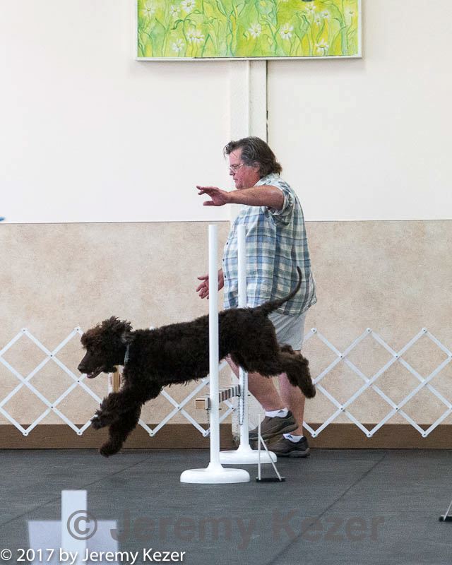 20170826-ra-0076.jpg