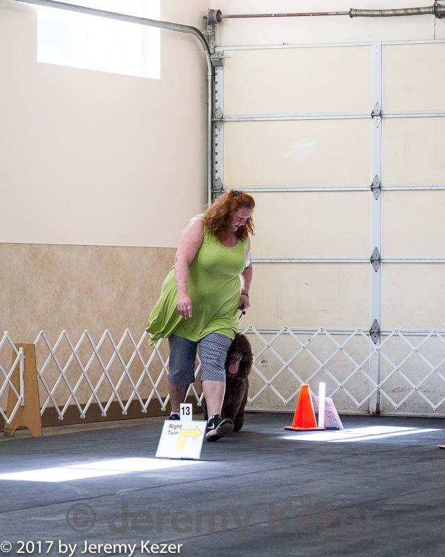 20170826-ra-0157.jpg