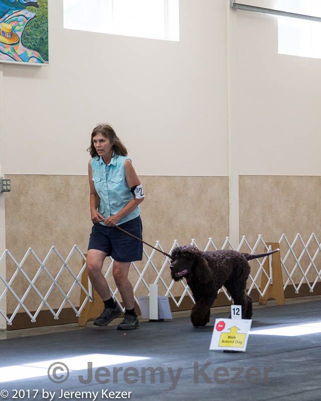 20170826-ra-0174.jpg