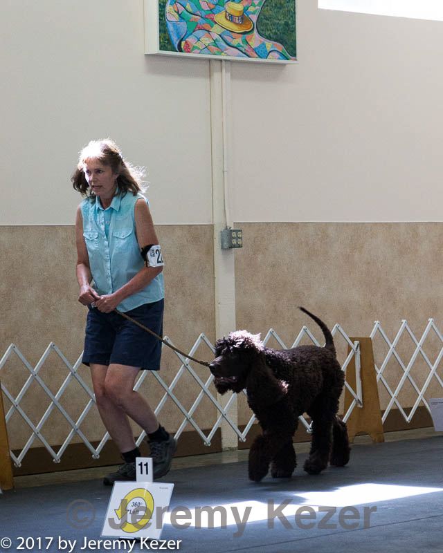 20170826-ra-0176.jpg
