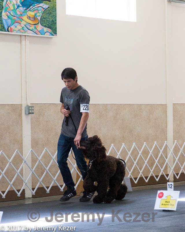 20170826-ra-0212.jpg
