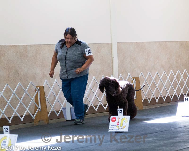 20170826-ra-0115.jpg