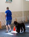 20170826-ra-0334