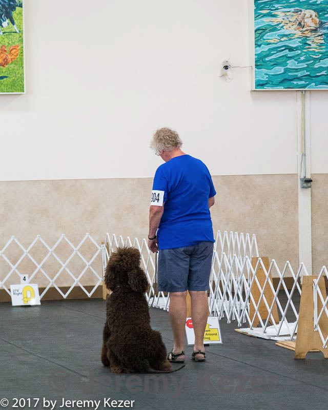 20170826-ra-0326.jpg