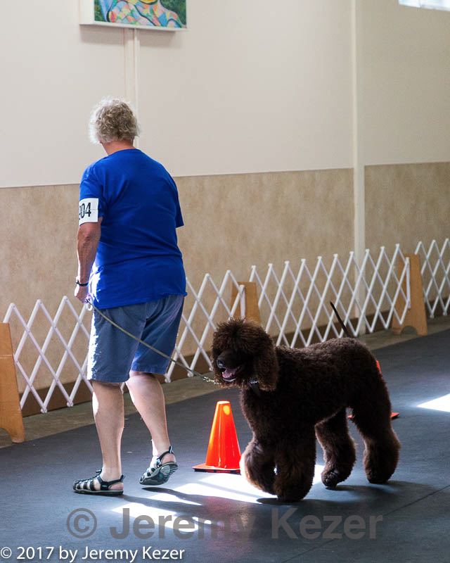 20170826-ra-0334.jpg