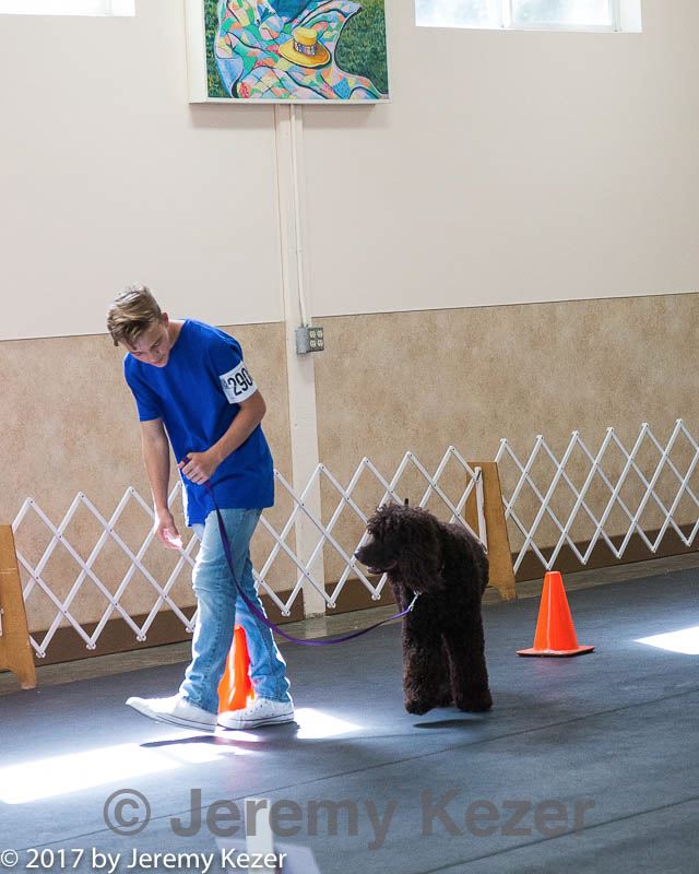 20170826-ra-0368.jpg