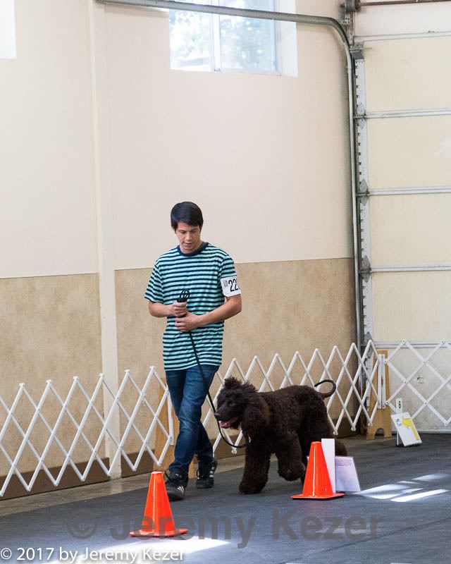 20170826-ra-0415.jpg