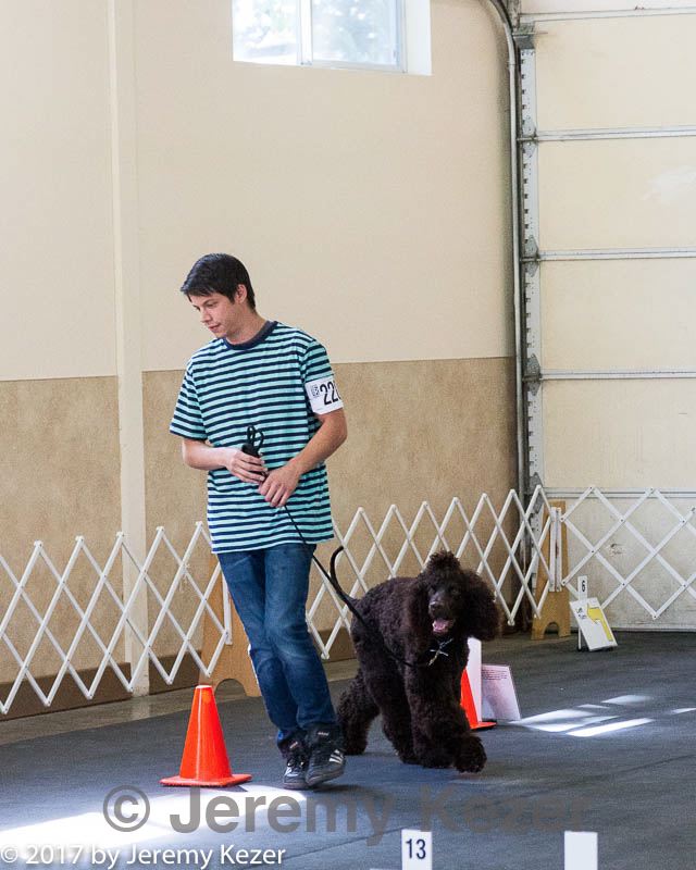 20170826-ra-0416.jpg