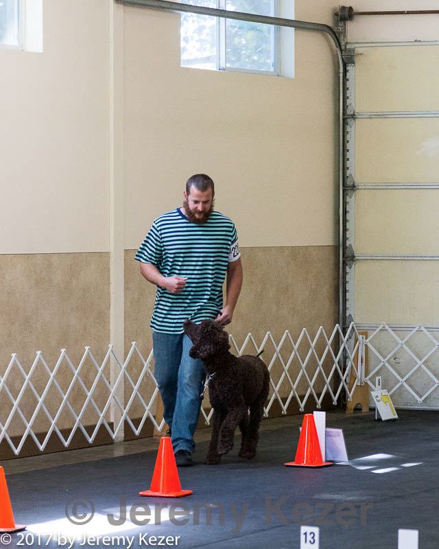 20170826-ra-0434.jpg