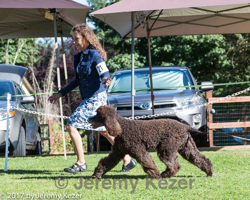 20170826-sw-0135.jpg