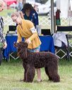20170928-conf-0203