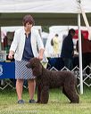 20170928-conf-0217