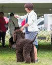 20170928-conf-0227