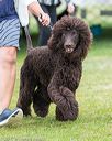 20170928-conf-0228