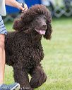 20170928-conf-0231
