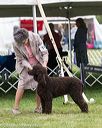 20170928-conf-0233