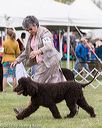 20170928-conf-0237