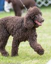 20170928-conf-0244