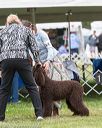 20170928-conf-0248