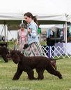 20170928-conf-0249