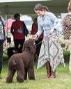 20170928-conf-0262