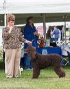 20170928-conf-0271