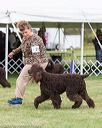 20170928-conf-0273