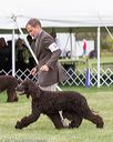 20170928-conf-0307