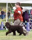 20170928-conf-0060