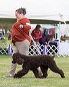 20170928-conf-0065
