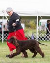 20170928-conf-0159