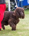20170928-conf-0167