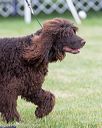 20170928-conf-0171
