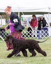 20170928-conf-0077