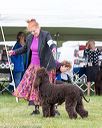 20170928-conf-0080