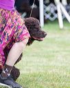 20170928-conf-0083