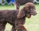 20170928-conf-0097