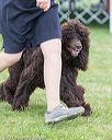 20170928-conf-0113