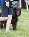 20170928-conf-0114
