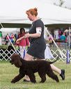 20170928-conf-0117