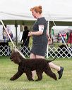 20170928-conf-0122