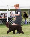 20170928-conf-0124