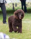 20170928-conf-0127