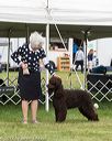 20170928-conf-0137