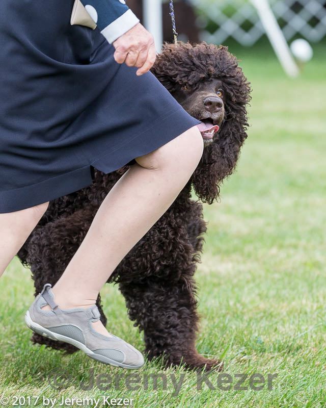 20170928-conf-0115.jpg