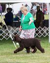 20170928-conf-0176