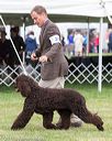 20170928-conf-0184