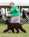 20170928-conf-0193